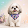 cc9fc096-67cf-45f4-a89d-5dc56dd6d867 Bandana Fadinhas Mágicas- 10 und