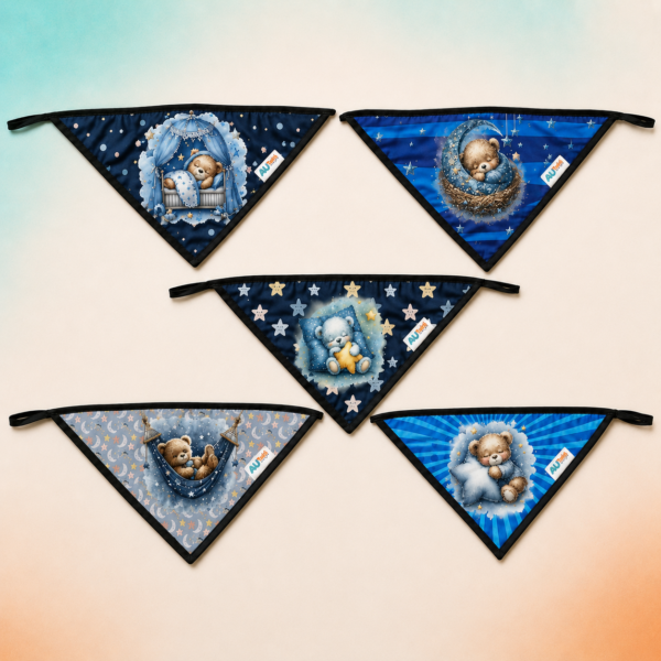 Bandana Ursinho Dorminhoco- 10 und