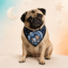 Bandana Ursinho Dorminhoco- 10 und