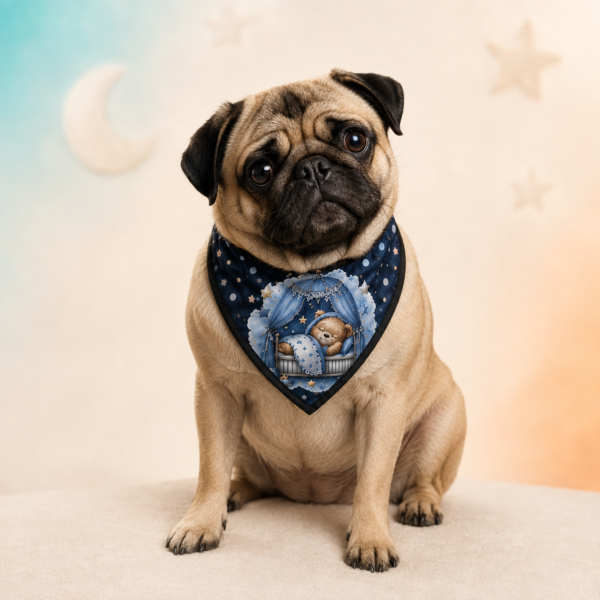 Bandana Ursinho Dorminhoco- 10 und